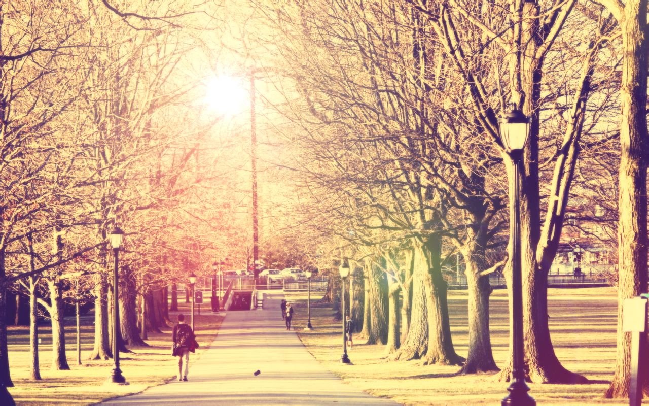 小清新,唯美,浪漫,温暖,温馨,干净,治愈系,慢生活,治愈,美好,树林,阳光,路