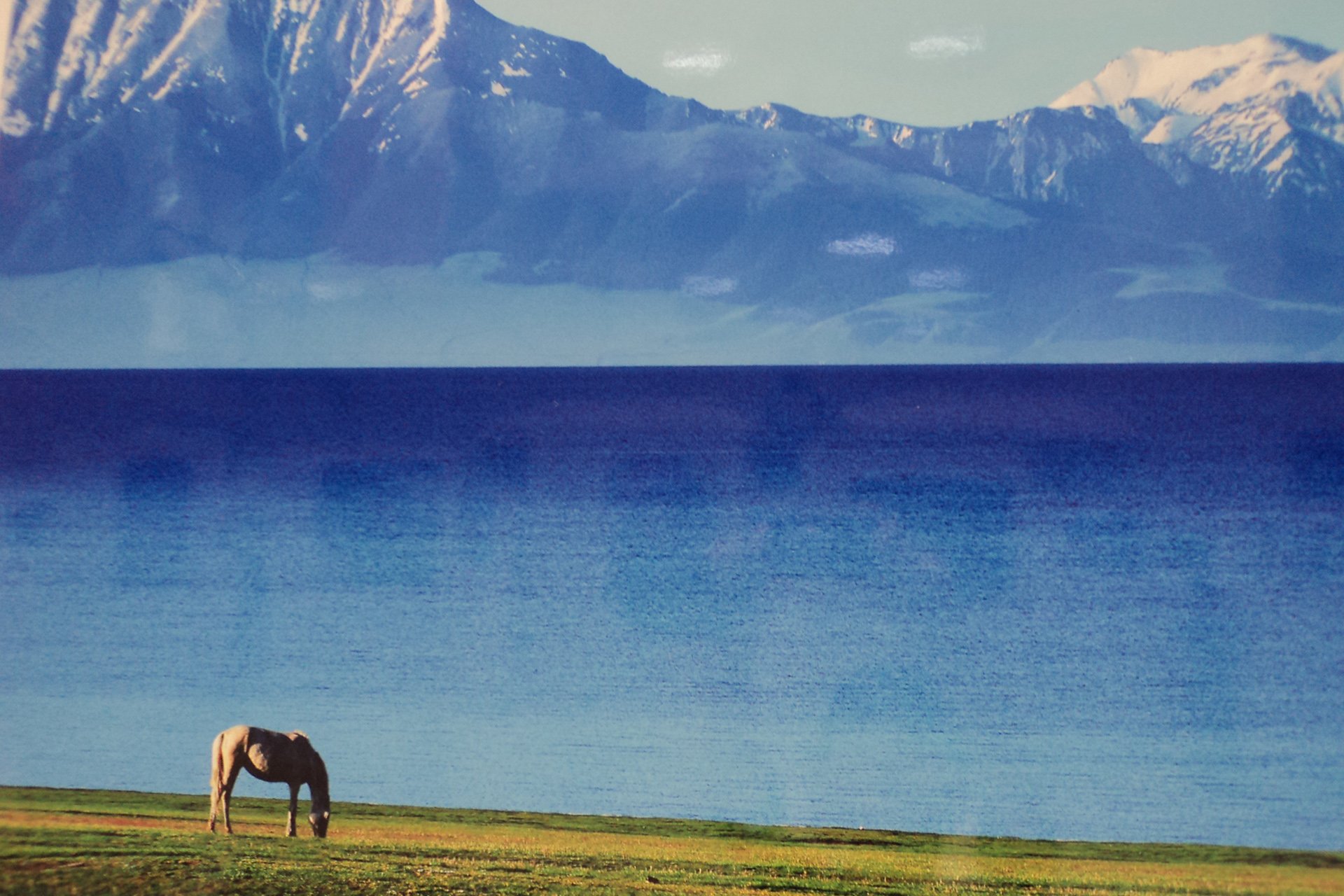 自然风光,绿色,清新,唯美,意境,炎炎夏日,旅游胜地,风景