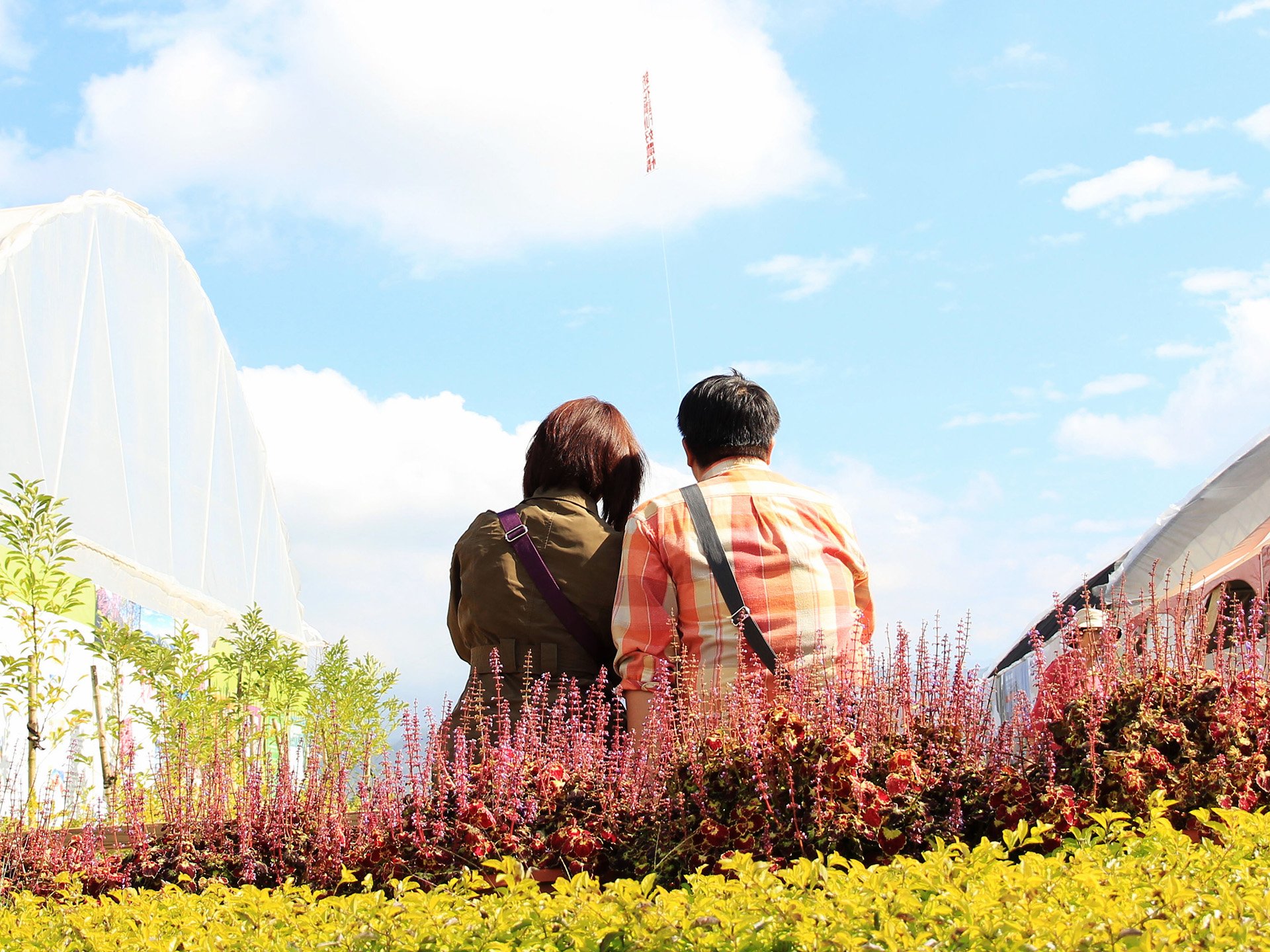 情感,情侣,爱情,浪漫,陪伴