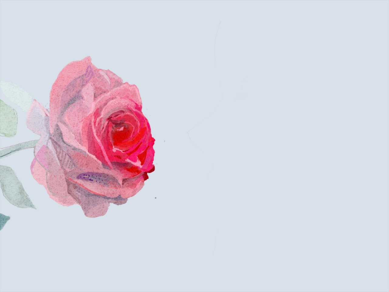 小清新,温暖,干净,安静,唯美,静物,物语,时光,花,清新淡雅,鸟语花香