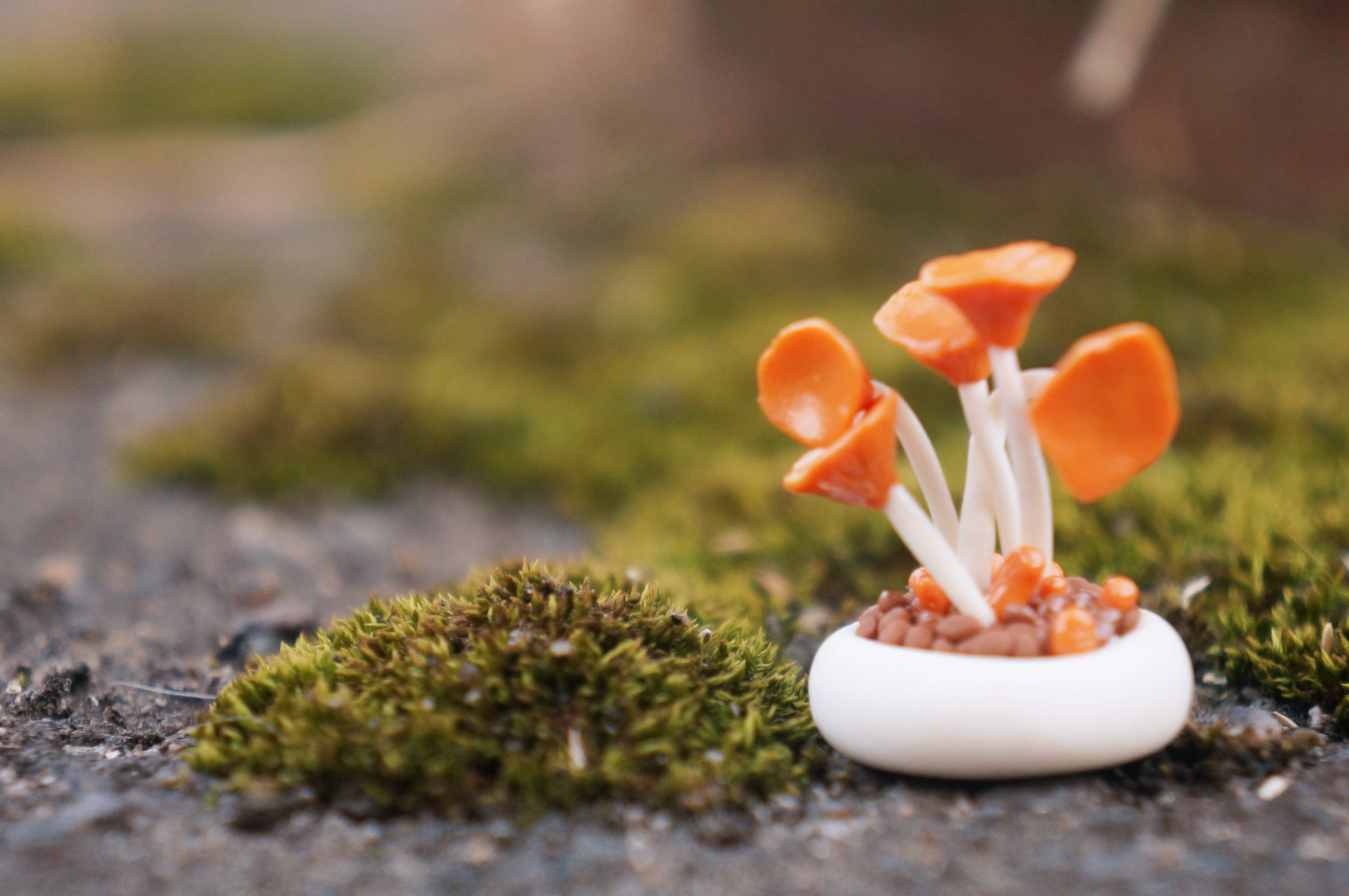 小清新,温暖,干净,安静,唯美,静物,物语,时光